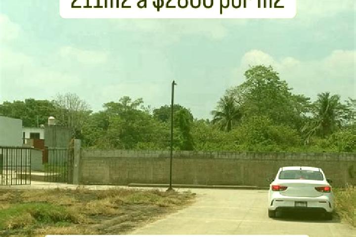 escort Brisas del Carrizal