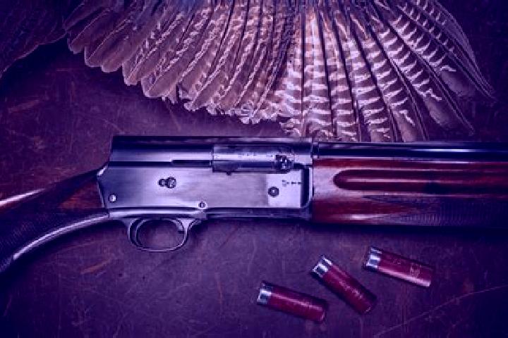 escort Browning