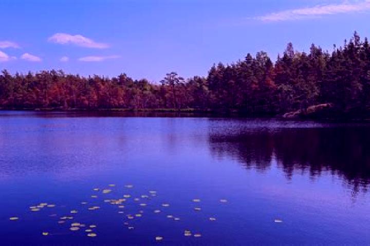 escort Browns Lake