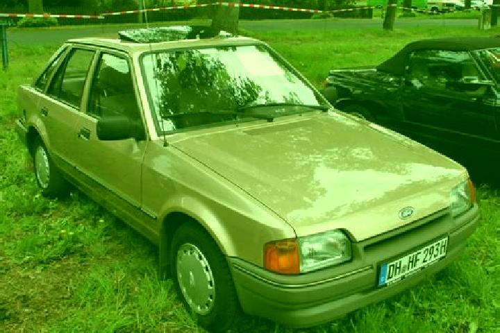 escort Bruchhausen