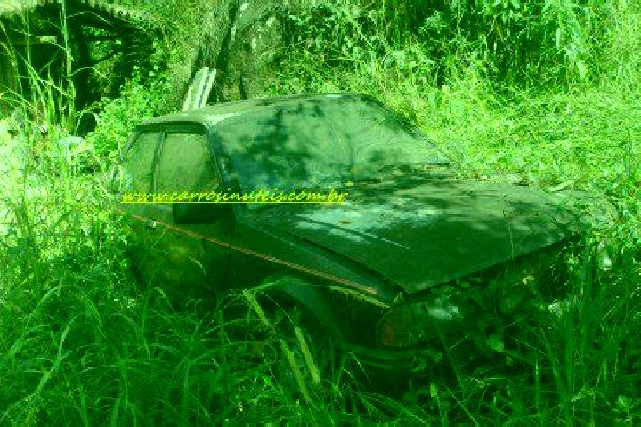 escort Brumadinho