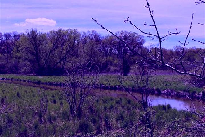 escort Brush Prairie