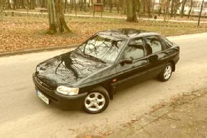 escort Brzeg Dolny