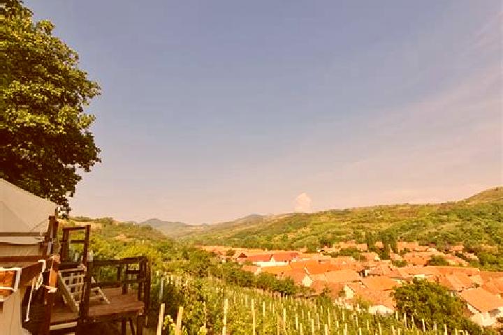 escort Bucerdea Vinoasa
