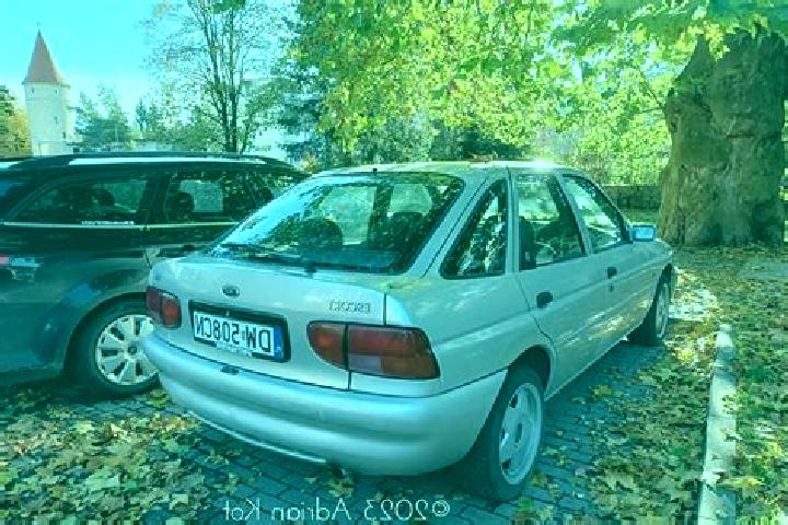 escort Buchel