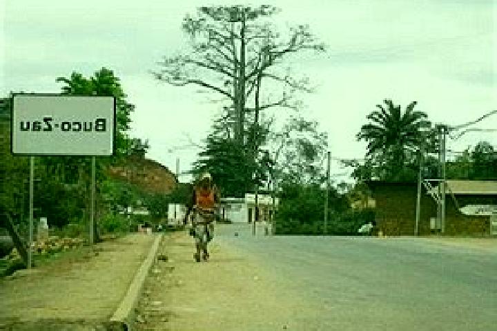 escort Buco Zau