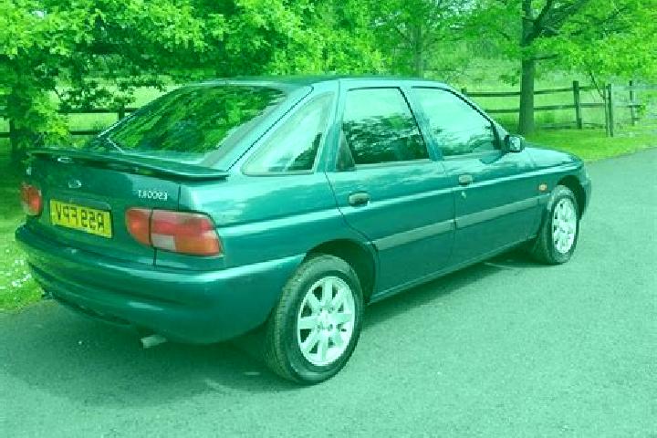 escort Bucovat