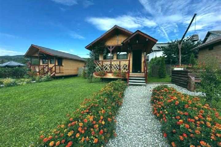 escort Bucsenesti-Lotasi