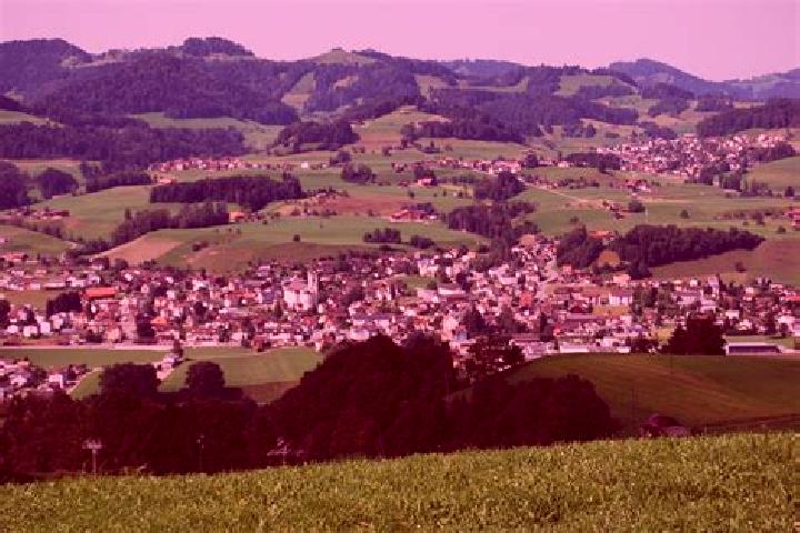 escort Buetschwil