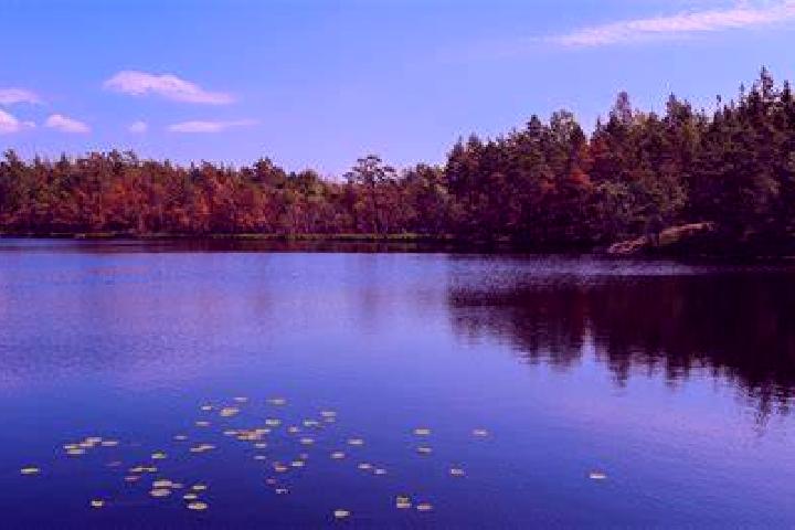 escort Buffalo Lake