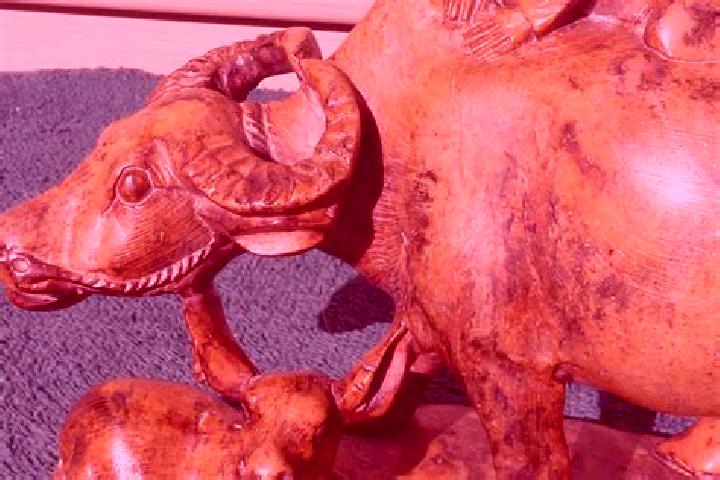 escort Buffalo Soapstone
