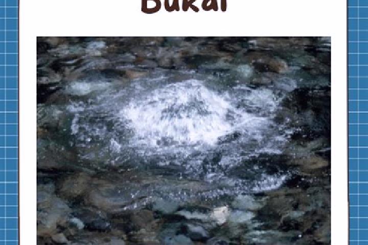 escort Bukal