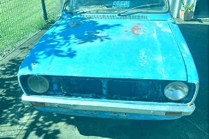 escort Burrum Heads