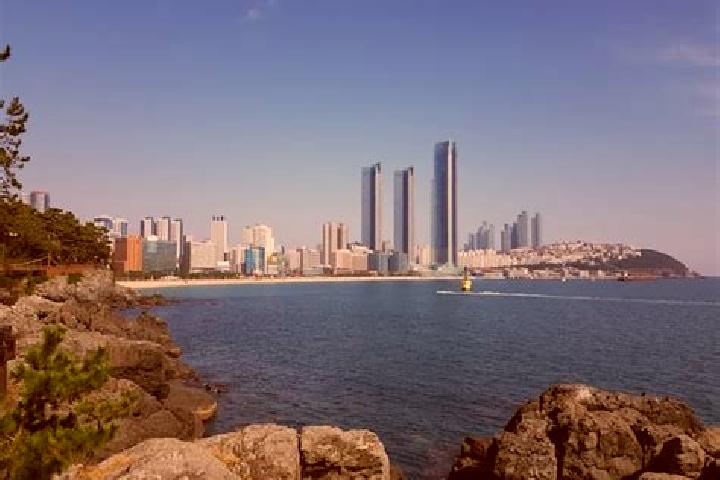 escort Busan