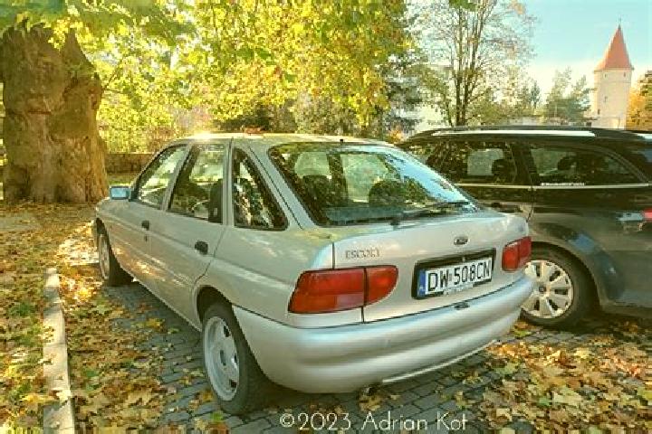 escort Busenberg