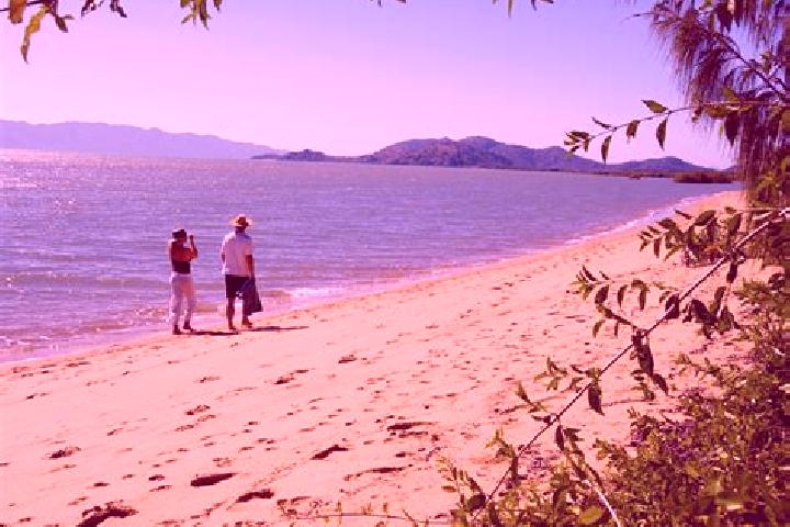 escort Bushland Beach