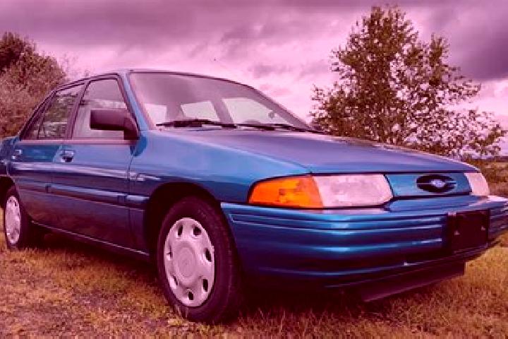 escort Bushtrice