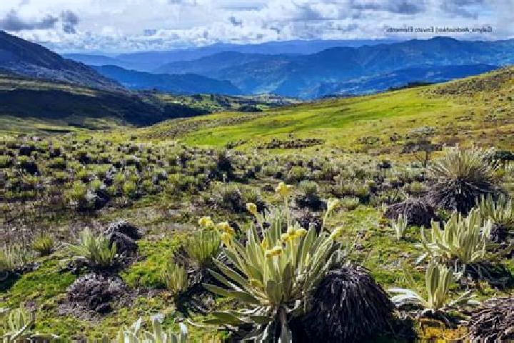 escort Bustillo del Paramo de Carrion
