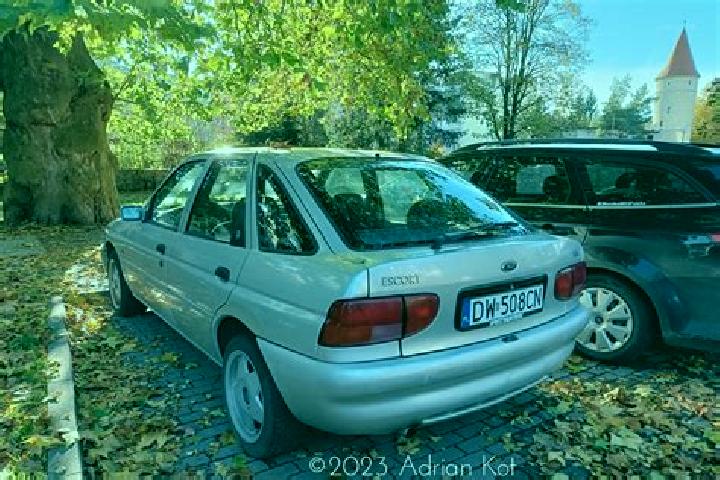 escort Buzinove