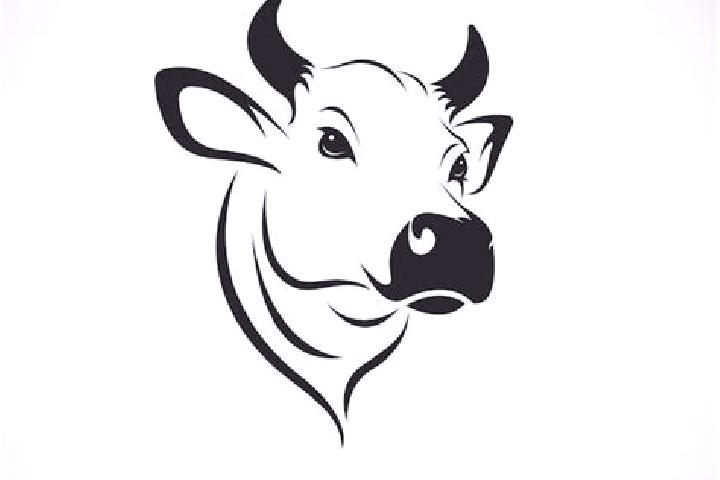 escort Cabeza la Vaca