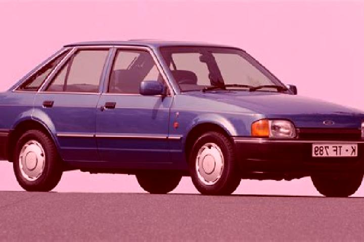 escort Cachon