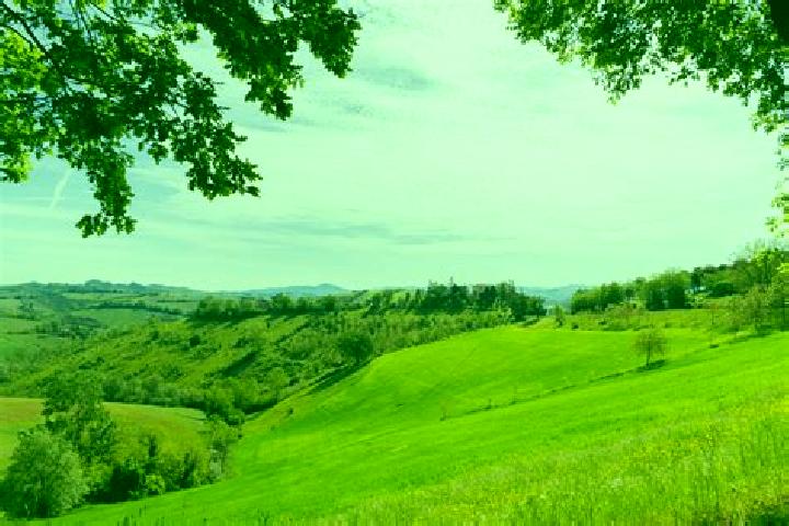 escort Cadelbosco di Sopra