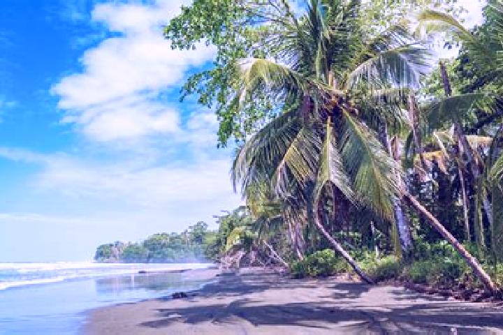 escort Cahuita