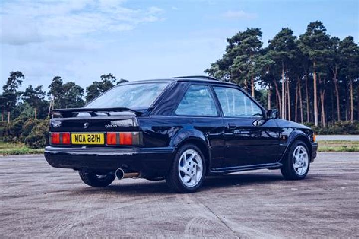 escort Caicun
