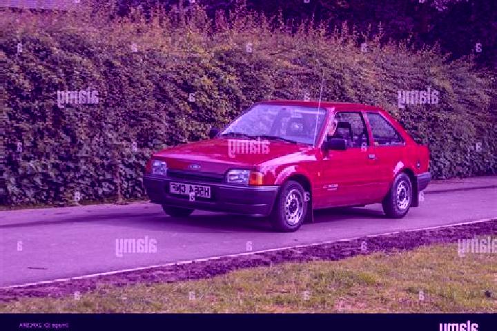 escort Calbe