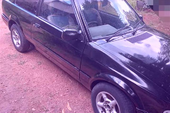escort Caldas Novas