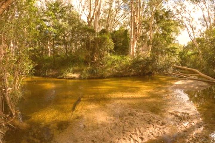 escort Callac Creek