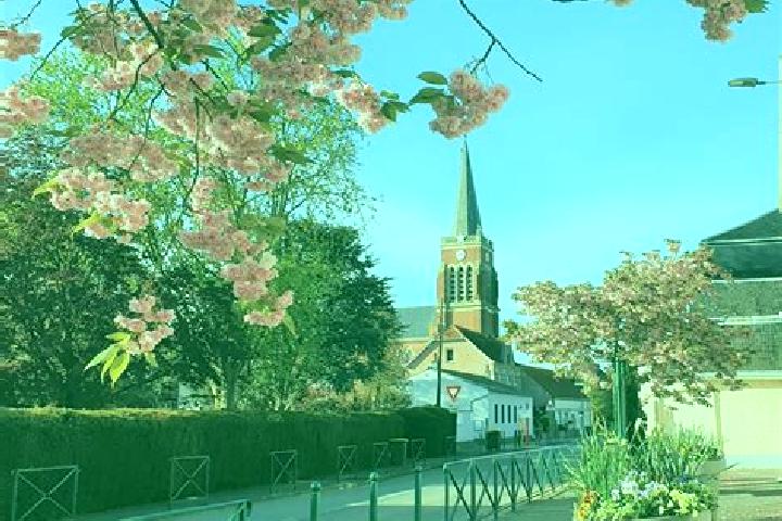 escort Calonne-sur-la-Lys
