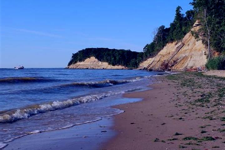 escort Calvert Beach