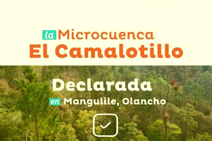 escort Camalotillo (El Camalotillo)