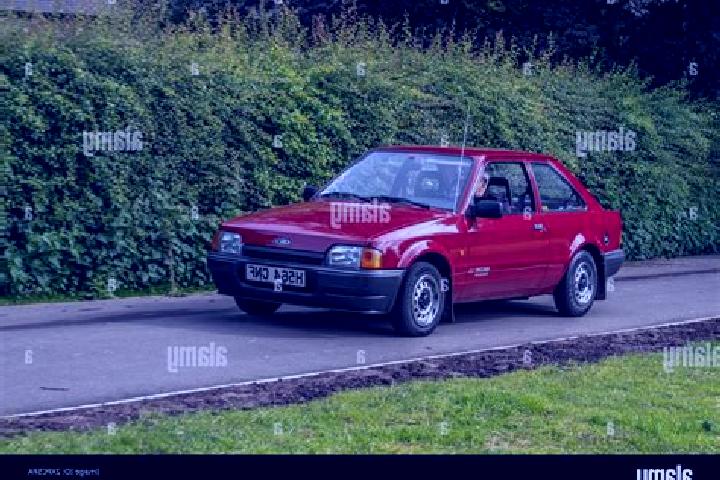 escort Camoluk