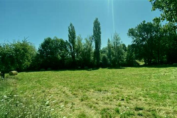 escort Campagne-les-Wardrecques