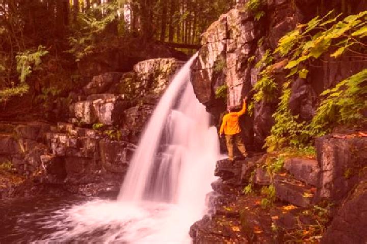 escort Campbell Creek