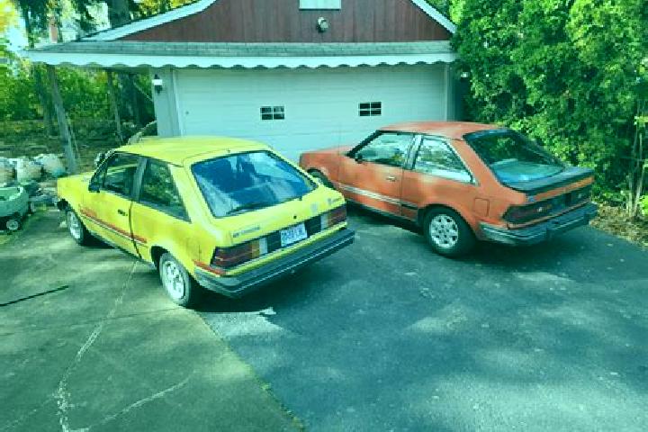 escort Campbellton