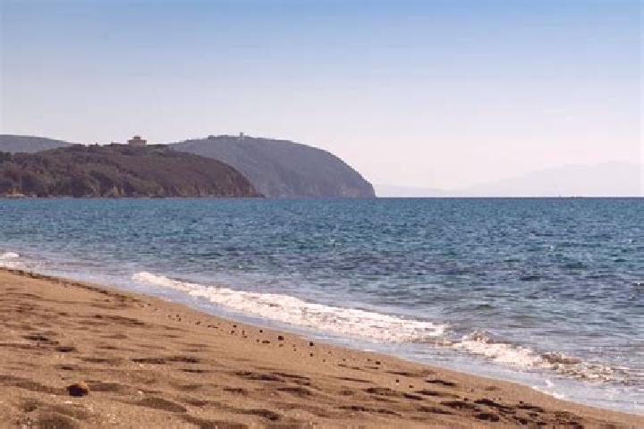 escort Campiglia Marittima