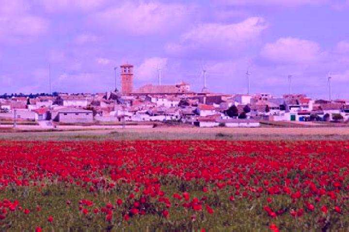 escort Campillo de Altobuey