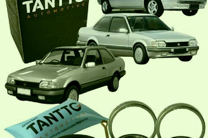 escort Campos Belos