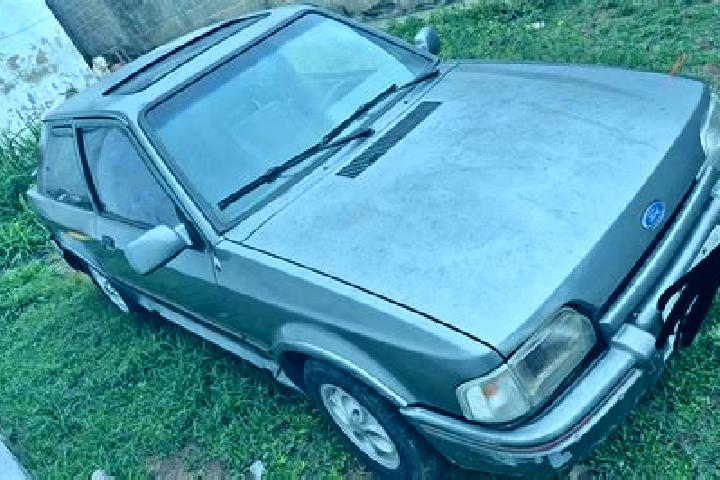 escort Campos Verdes