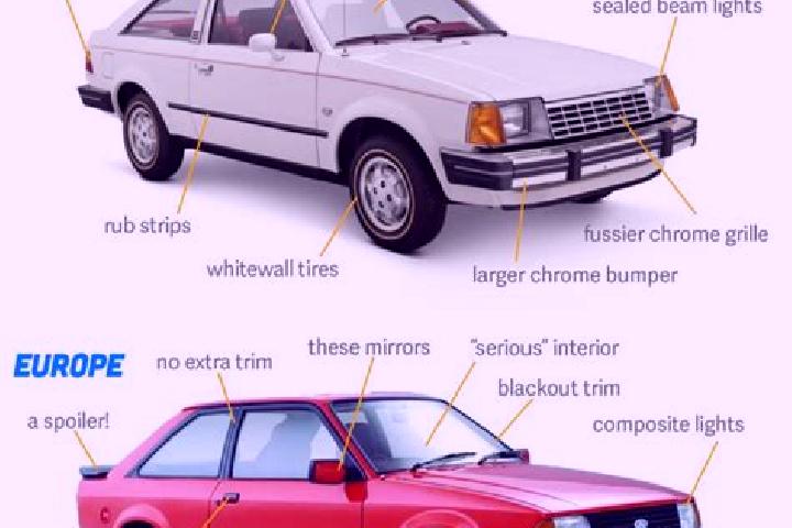 escort Can-Avid
