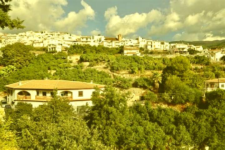 escort Canillas de Albaida