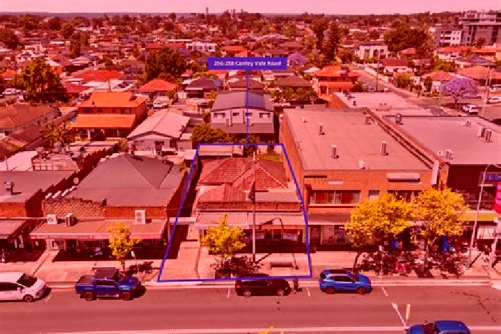 escort Canley Heights
