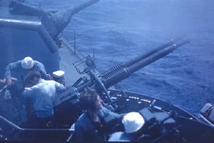 escort Cannon Falls