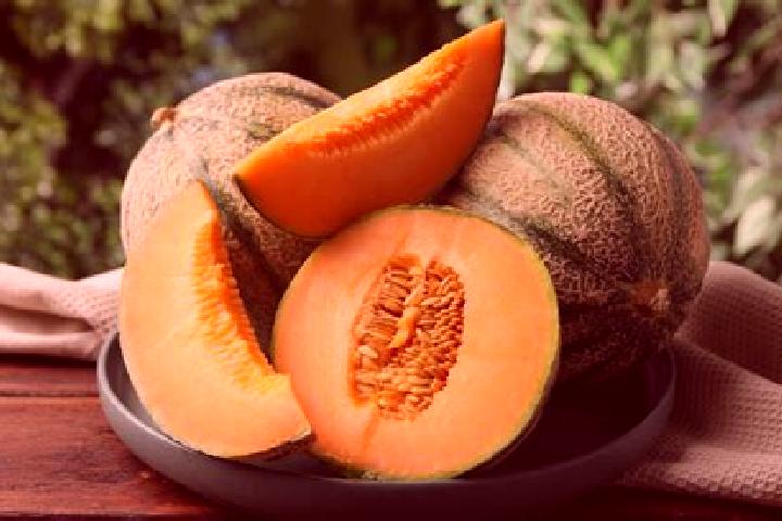 escort Cantalupo