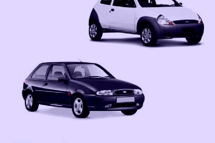 escort Capela Nova