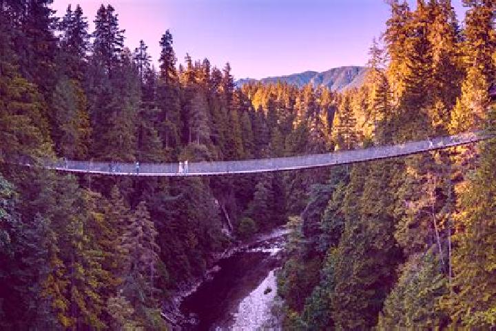 escort Capilano