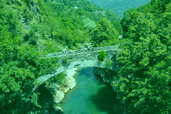 escort Capo di Ponte